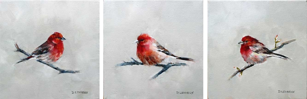 Do, Re, Mi ( A trio of Purple Finch)